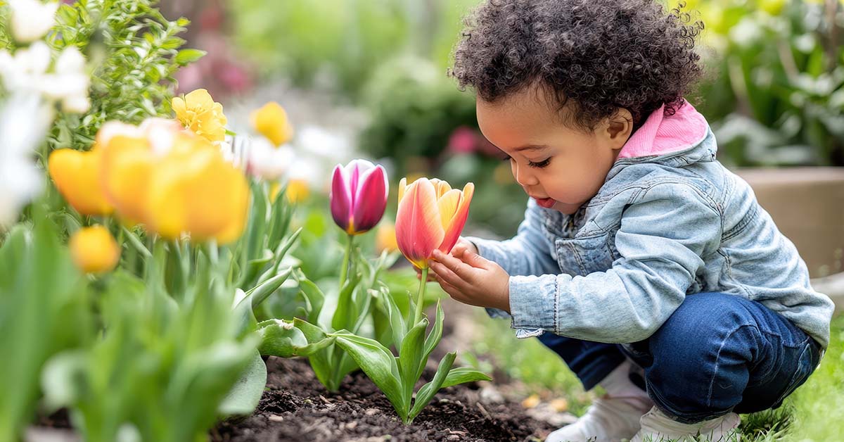 A diverse toddler cradles a tulip with his hands.